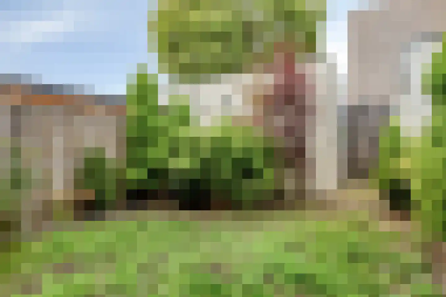 Homerusstraat 785 Rotterdam thumbnail 7