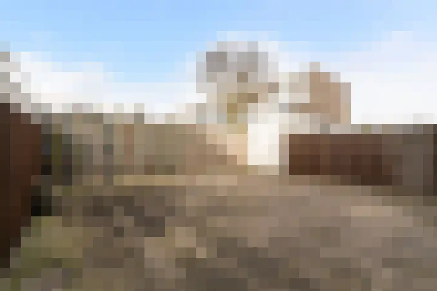 Homerusstraat 789 Rotterdam thumbnail 16