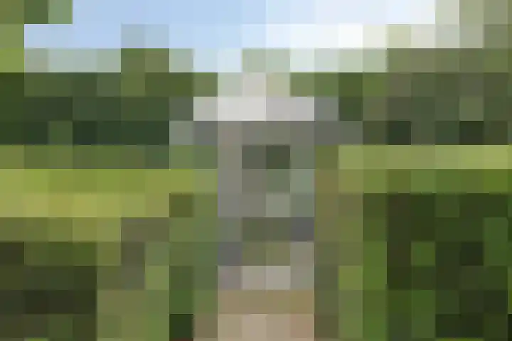 Homerusstraat 98 Apeldoorn thumbnail 24