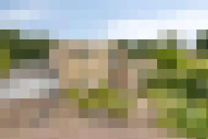 Homerusstraat 98 Apeldoorn thumbnail 38