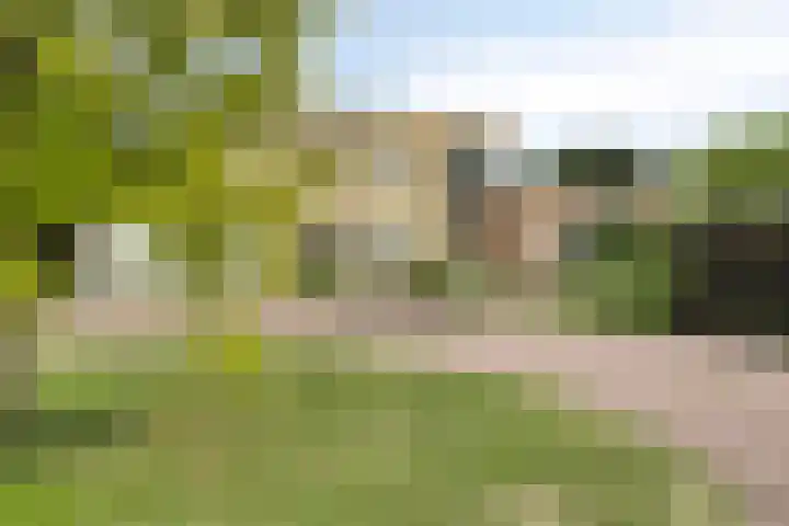 Homerusstraat 98 Apeldoorn thumbnail 39