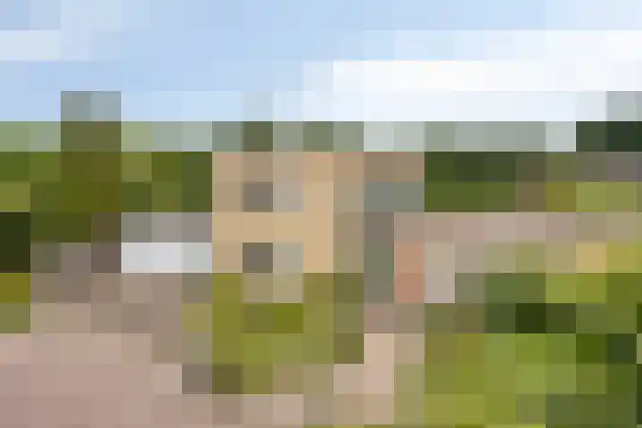 Homerusstraat 98 Apeldoorn thumbnail 58