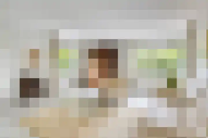 Homerusstraat 98 Apeldoorn thumbnail 8