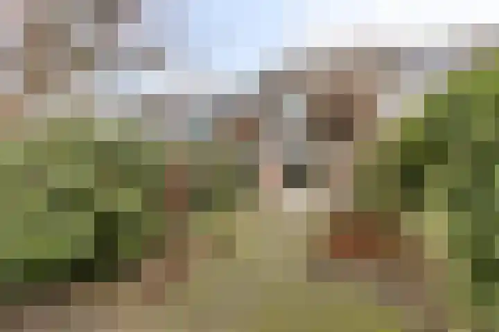 Hommel 18 Soest thumbnail 26