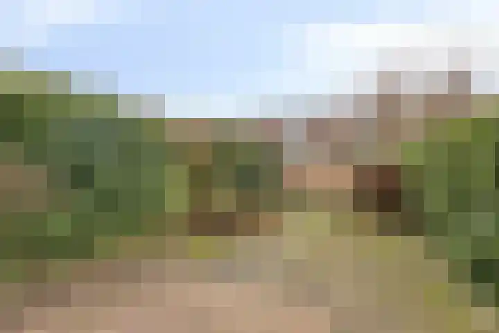 Hommel 18 Soest thumbnail 27