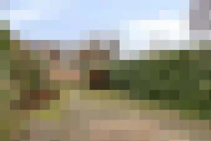 Hommel 18 Soest thumbnail 28