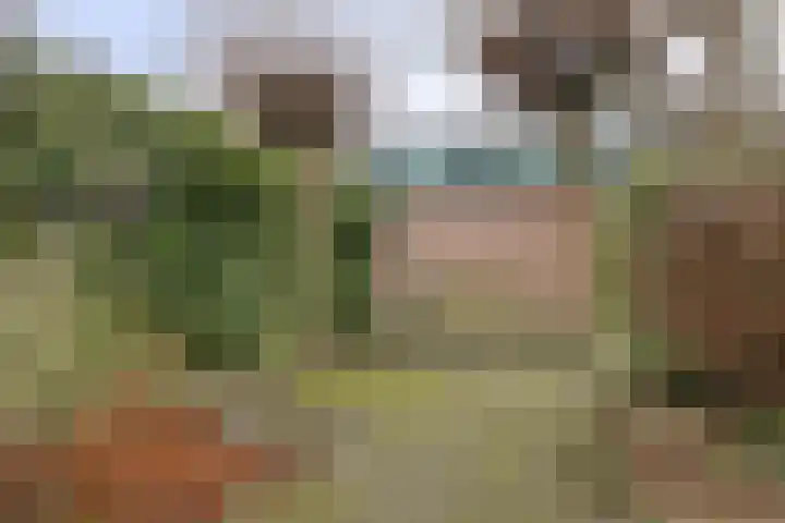 Hommel 18 Soest thumbnail 29