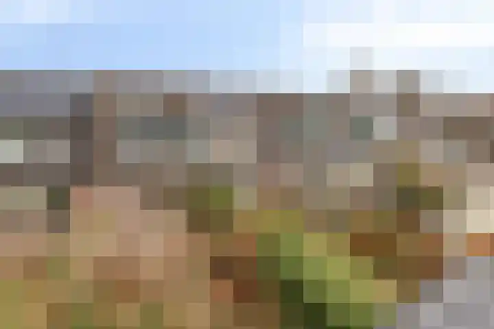 Hommel 18 Soest thumbnail 32