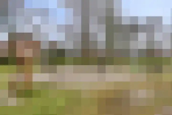 Hommel 18 Soest thumbnail 37