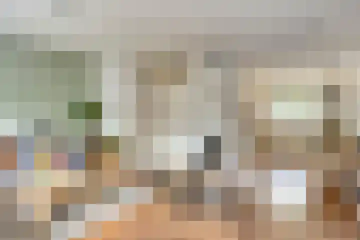 Hommel 32 Soest foto 2