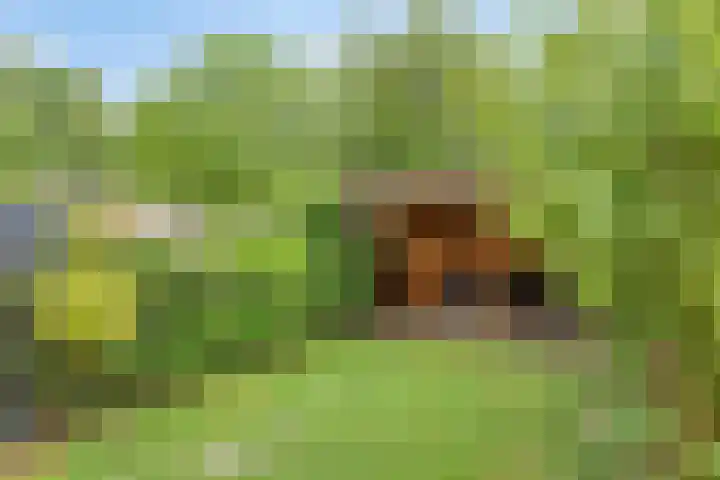 Hommel 32 Soest thumbnail 30