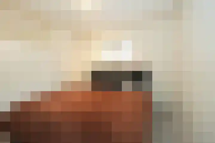 Hommel 32 Soest thumbnail 31