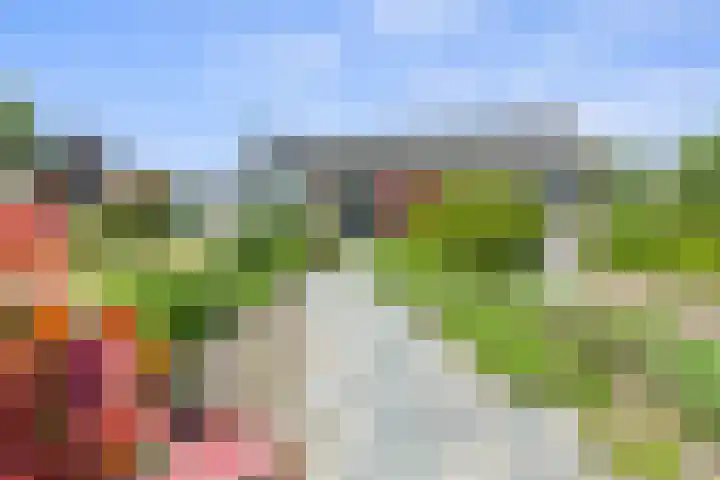 Hommel 32 Soest thumbnail 5