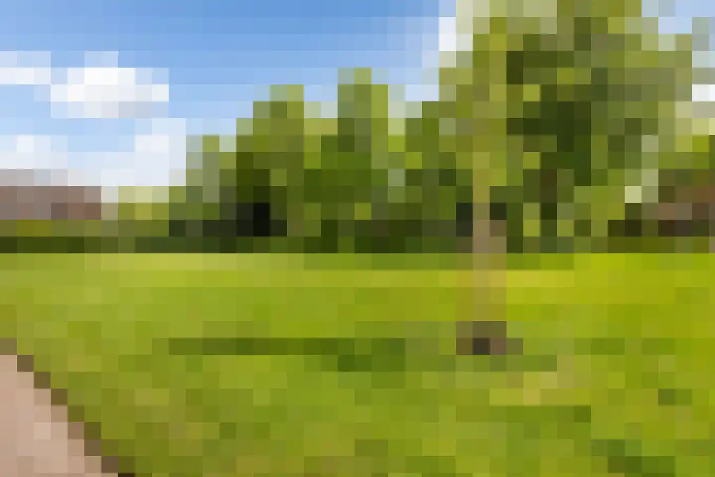 Hommelbrinkstede 78 Vaassen thumbnail 35