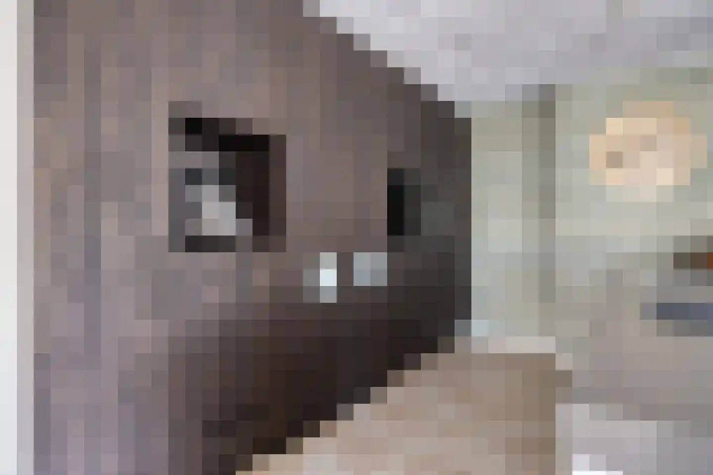 Hommelhei 22 Best thumbnail 19