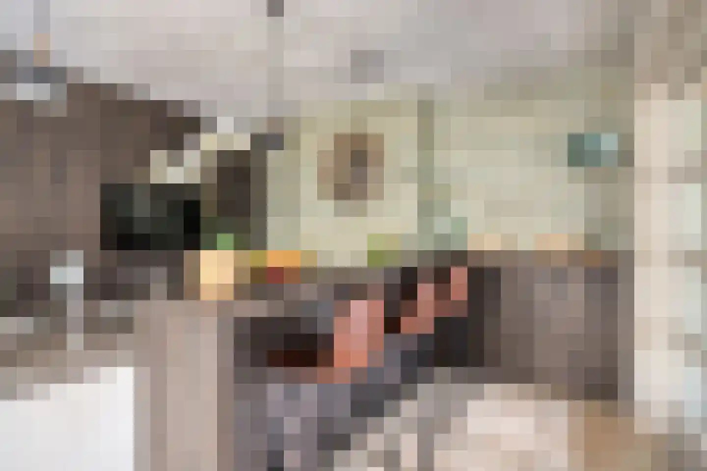 Hommelhei 22 Best thumbnail 22