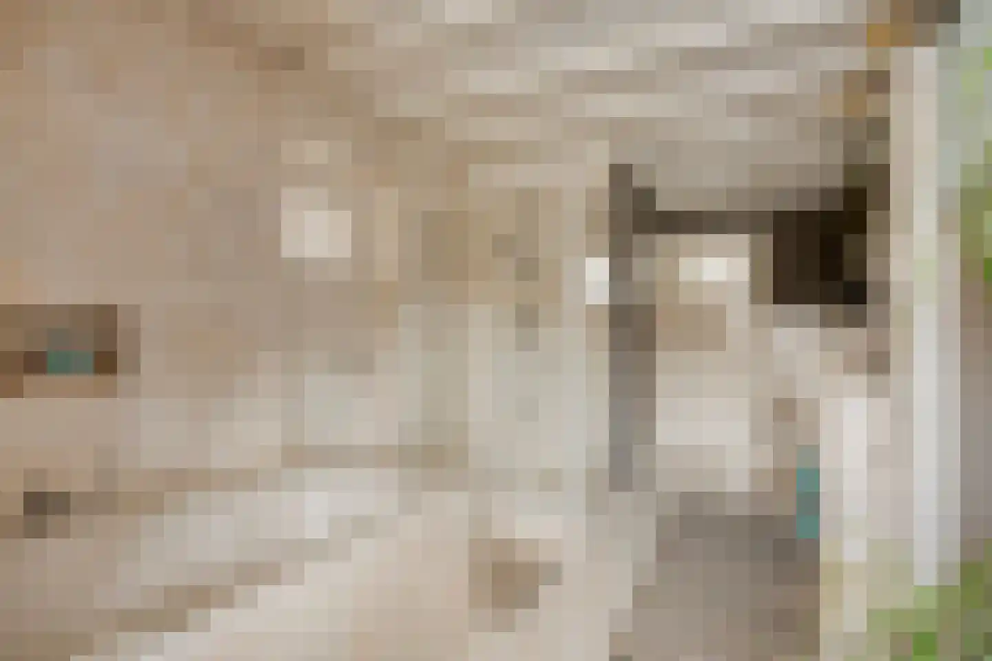 Hommelhei 22 Best thumbnail 32