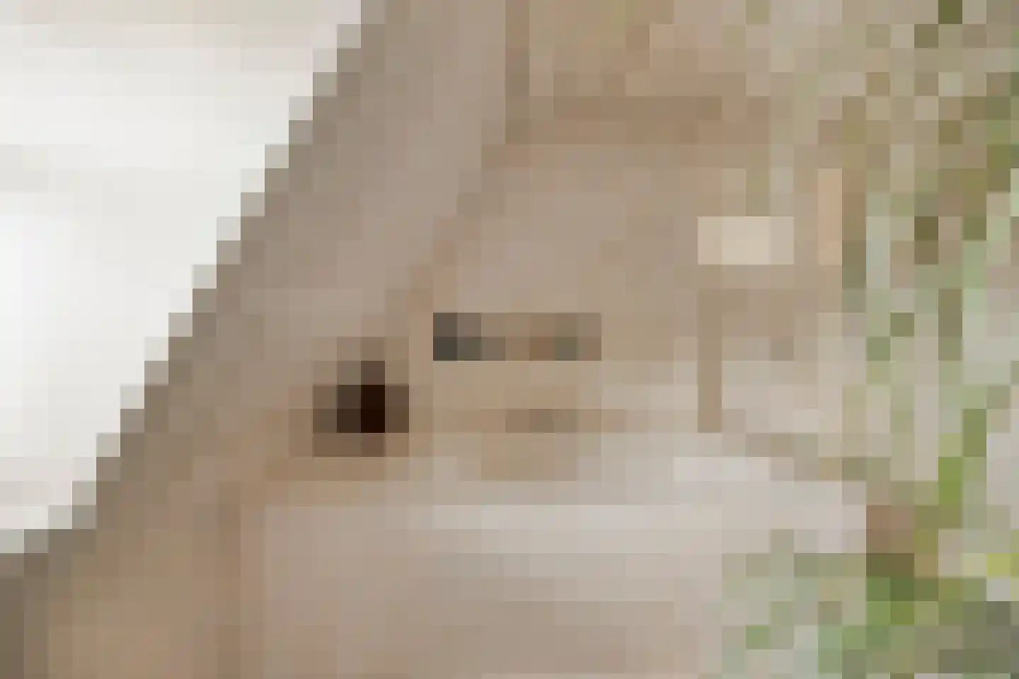 Hommelhei 22 Best thumbnail 33