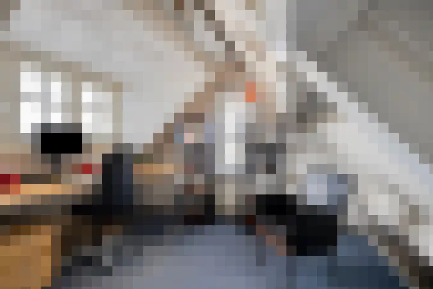 Hommelhei 22 Best thumbnail 45