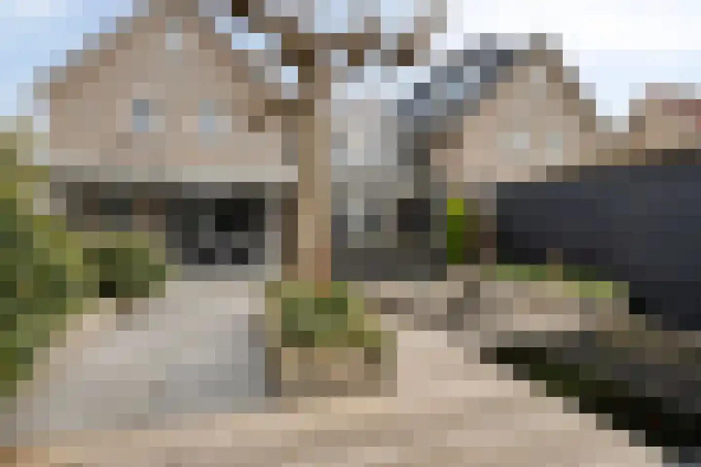 Hommelhei 22 Best thumbnail 52