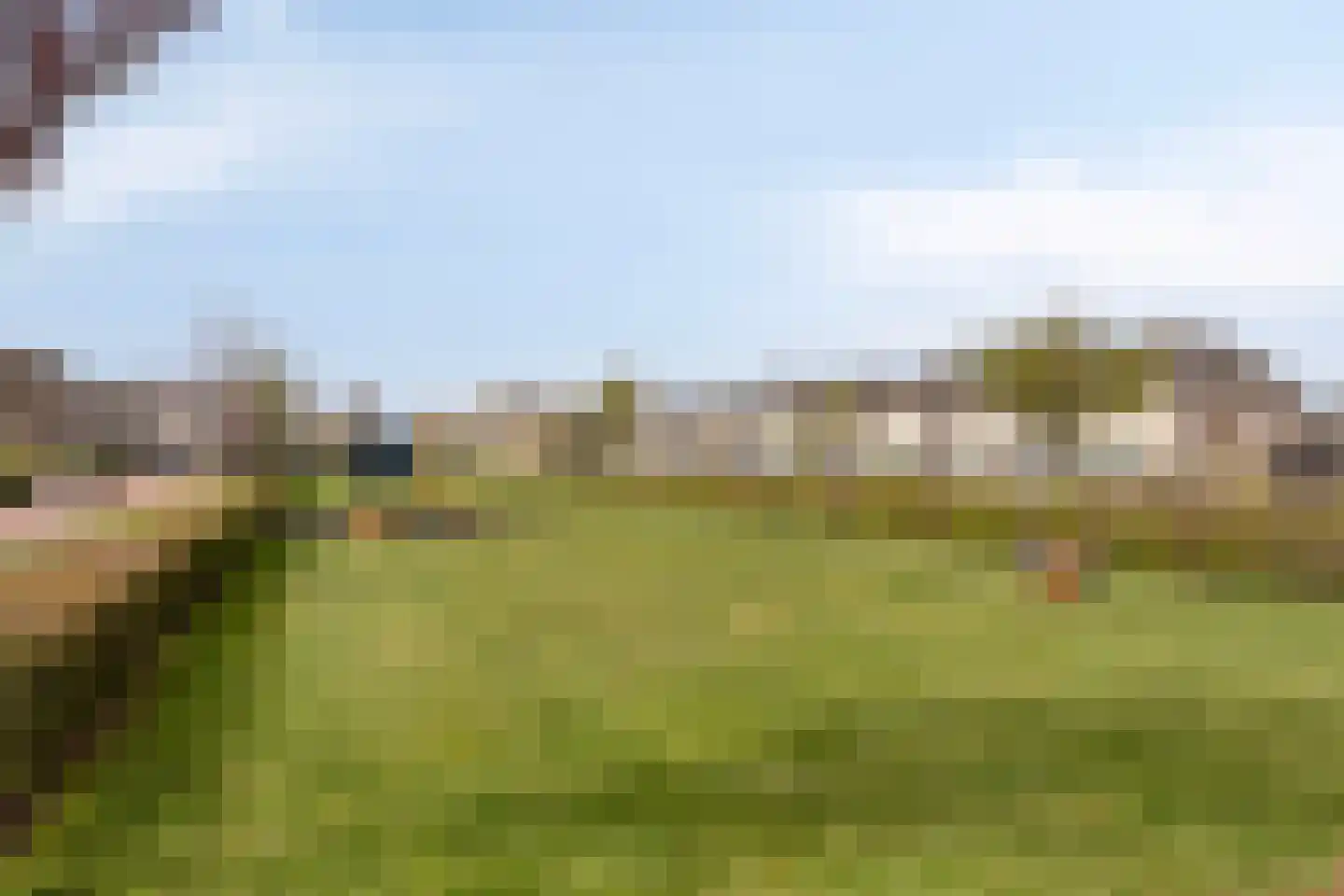 Hommelhei 22 Best thumbnail 59