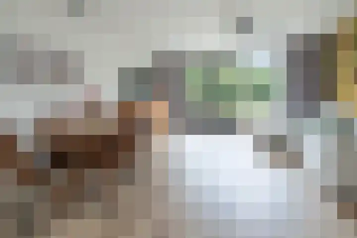 Hommelmeent 178 Hilversum thumbnail 11
