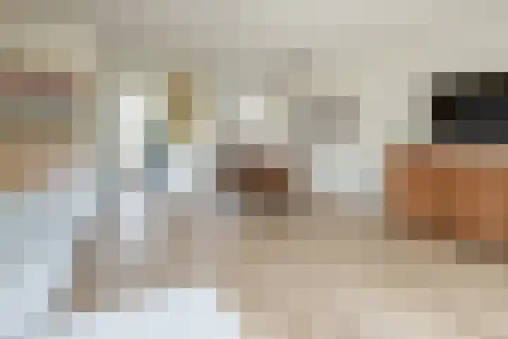 Hommelmeent 178 Hilversum thumbnail 12
