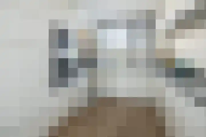 Hommelmeent 178 Hilversum thumbnail 15