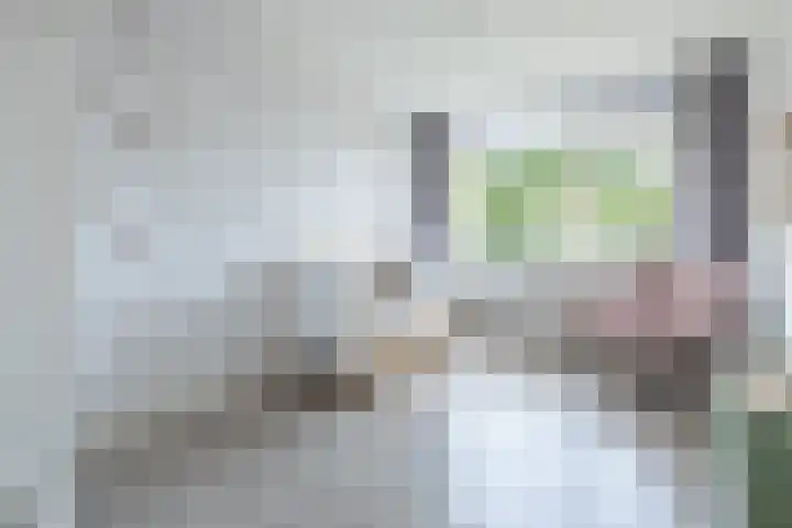 Hommelmeent 178 Hilversum thumbnail 19