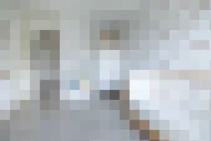 Hommelmeent 178 Hilversum thumbnail 20
