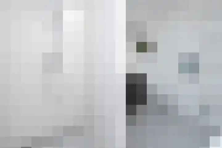 Hommelmeent 178 Hilversum thumbnail 27