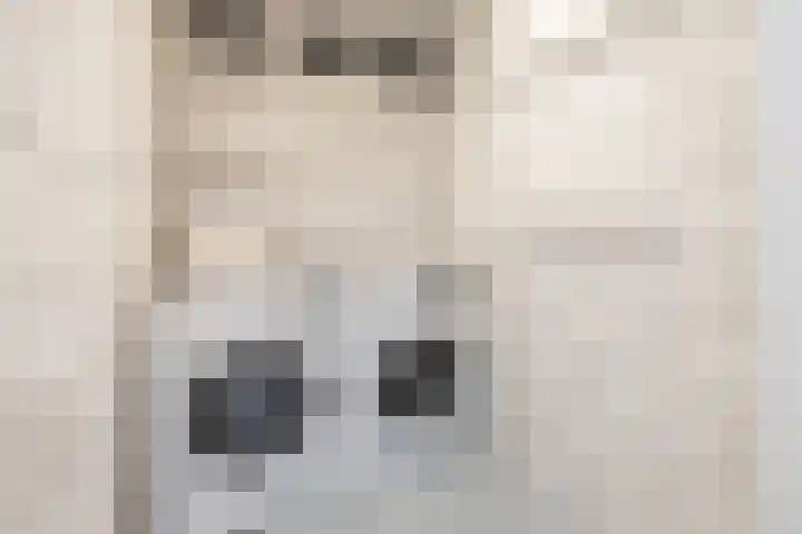 Hommelmeent 178 Hilversum thumbnail 28