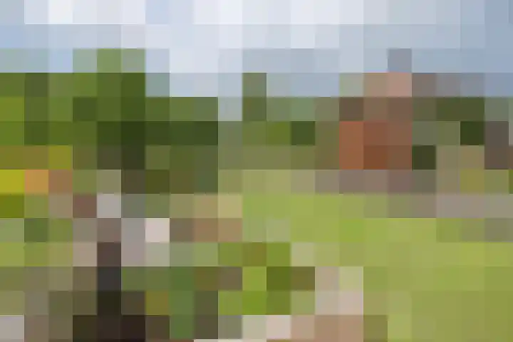 Hommelmeent 178 Hilversum thumbnail 38