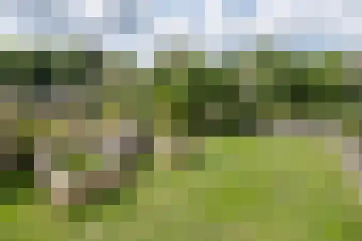 Hommelmeent 178 Hilversum thumbnail 39