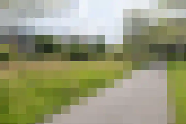 Hommelmeent 178 Hilversum thumbnail 4