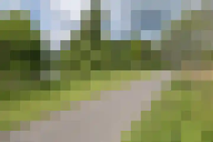 Hommelmeent 178 Hilversum thumbnail 41
