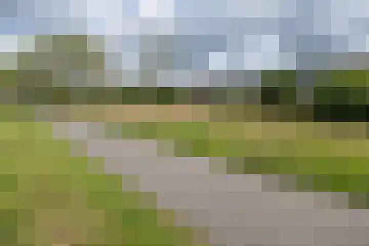 Hommelmeent 178 Hilversum thumbnail 42