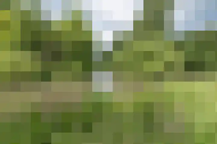 Hommelmeent 178 Hilversum thumbnail 5