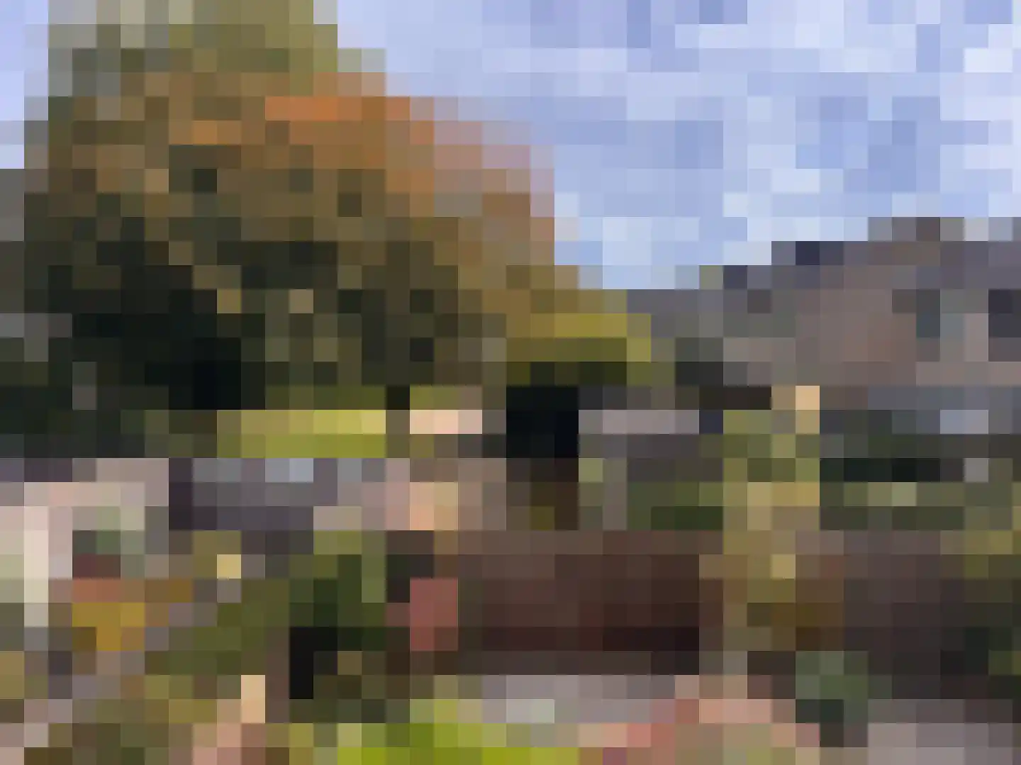 Hommelmeent 67 Hilversum thumbnail 4
