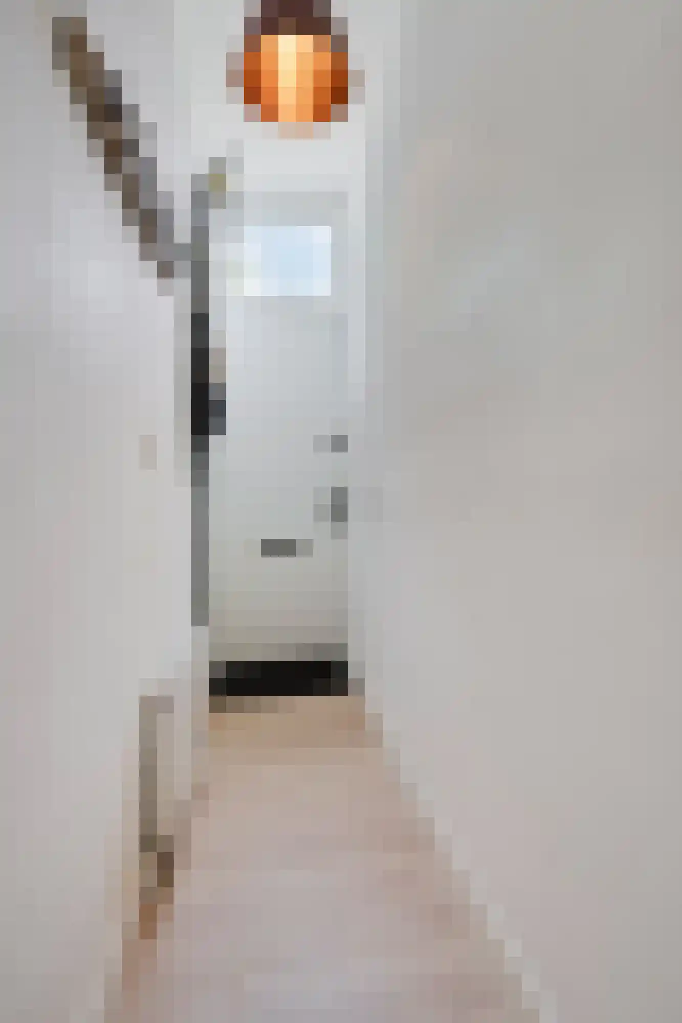 Hommelseweg 139 Arnhem thumbnail 12
