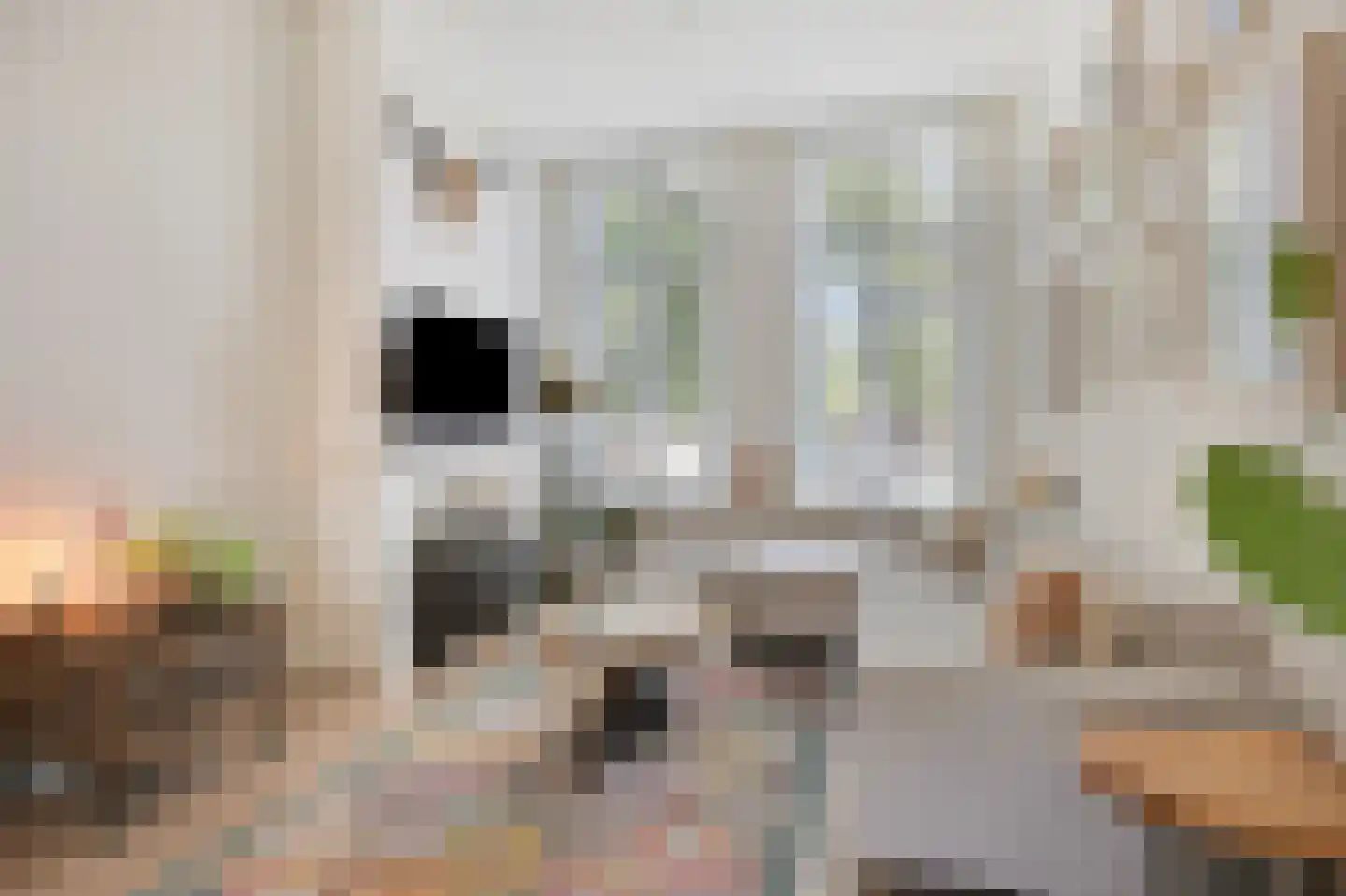 Hommelseweg 139 Arnhem thumbnail 19