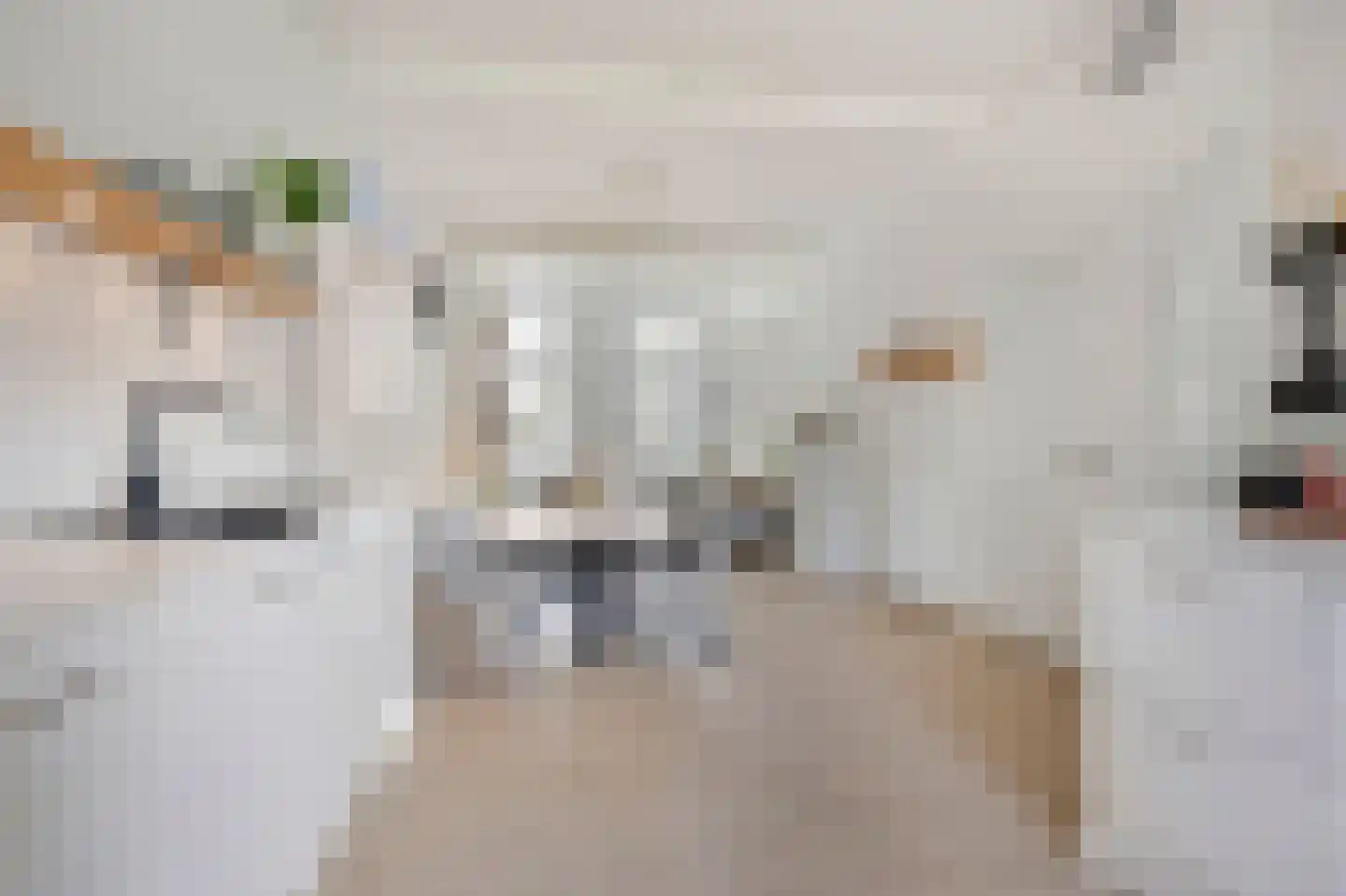 Hommelseweg 139 Arnhem thumbnail 23