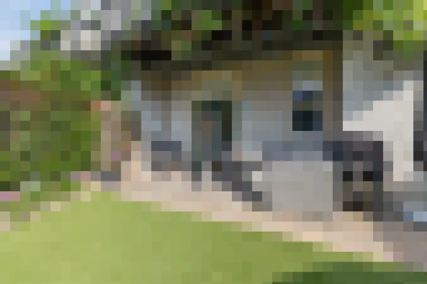 Hommelseweg 139 Arnhem thumbnail 48