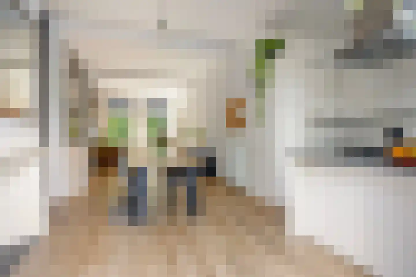 Hommelseweg 145 Arnhem thumbnail 13