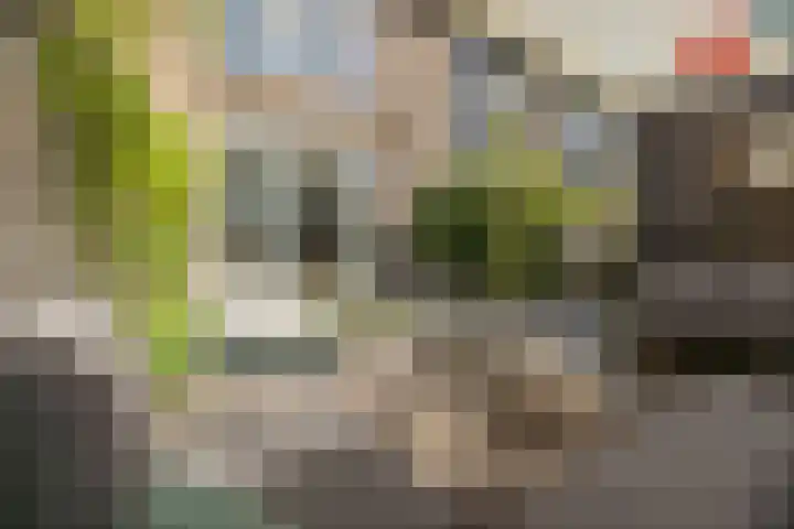Hommelseweg 169 9 Arnhem thumbnail 4