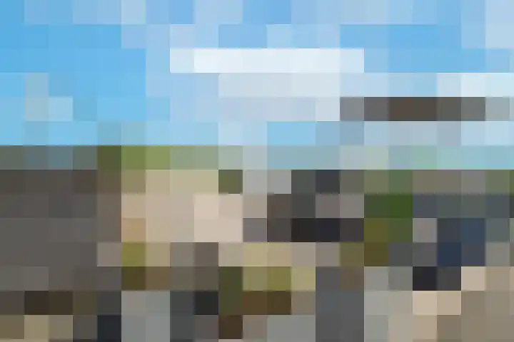 Hommelseweg 169 9 Arnhem thumbnail 42