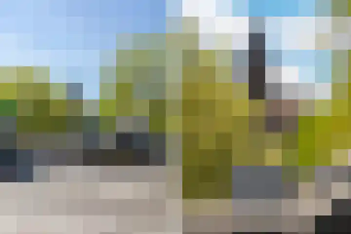 Hommelseweg 169 9 Arnhem thumbnail 43