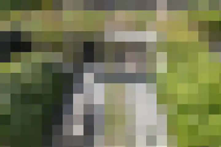 Hommelseweg 169 9 Arnhem thumbnail 47