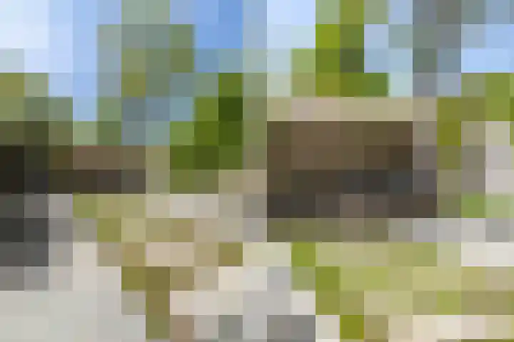 Hommelseweg 169 9 Arnhem thumbnail 49