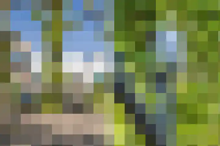 Hommelseweg 169 9 Arnhem thumbnail 53